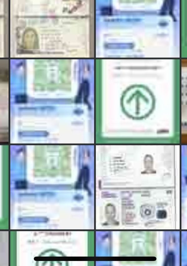 passport and QR scans while traveling.